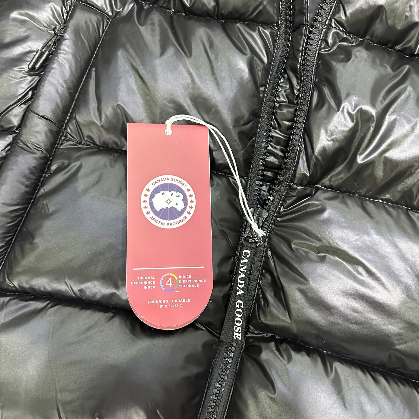 Canada Crofton Puffer Black 1